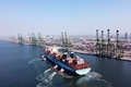 x1
