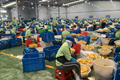 x1
