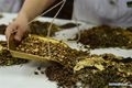 x1