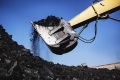 timg_副本