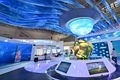 x1