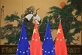 x1
