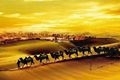 x1