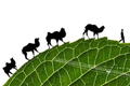 x1