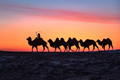 x3