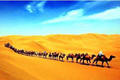 x4