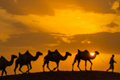 x2