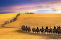 x2