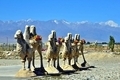 x1