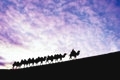 x1