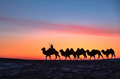 x3