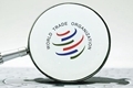 x1