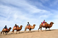 x3